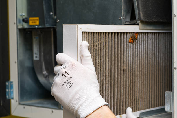 Best Best Air Duct Cleaning Company  in Geneva, AL