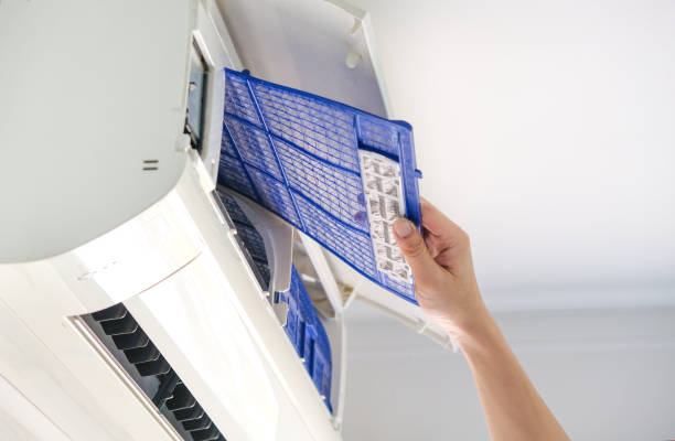 Air Duct Mold Removal in Geneva, AL