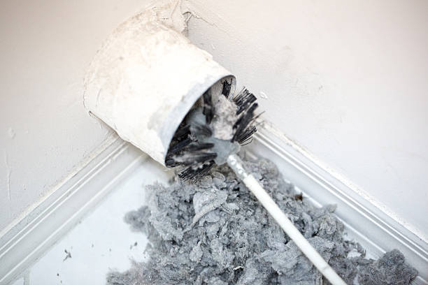 Best Air Duct Cleaning Near Me  in Geneva, AL