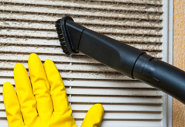 Best HVAC Duct Inspection Services  in Geneva, AL