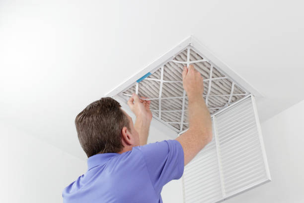 Best Local Air Duct Cleaning Services  in Geneva, AL
